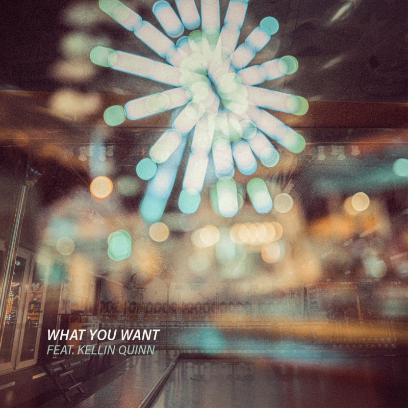 What You Want Artwork